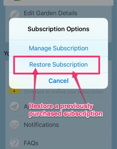 moom app restore purchase